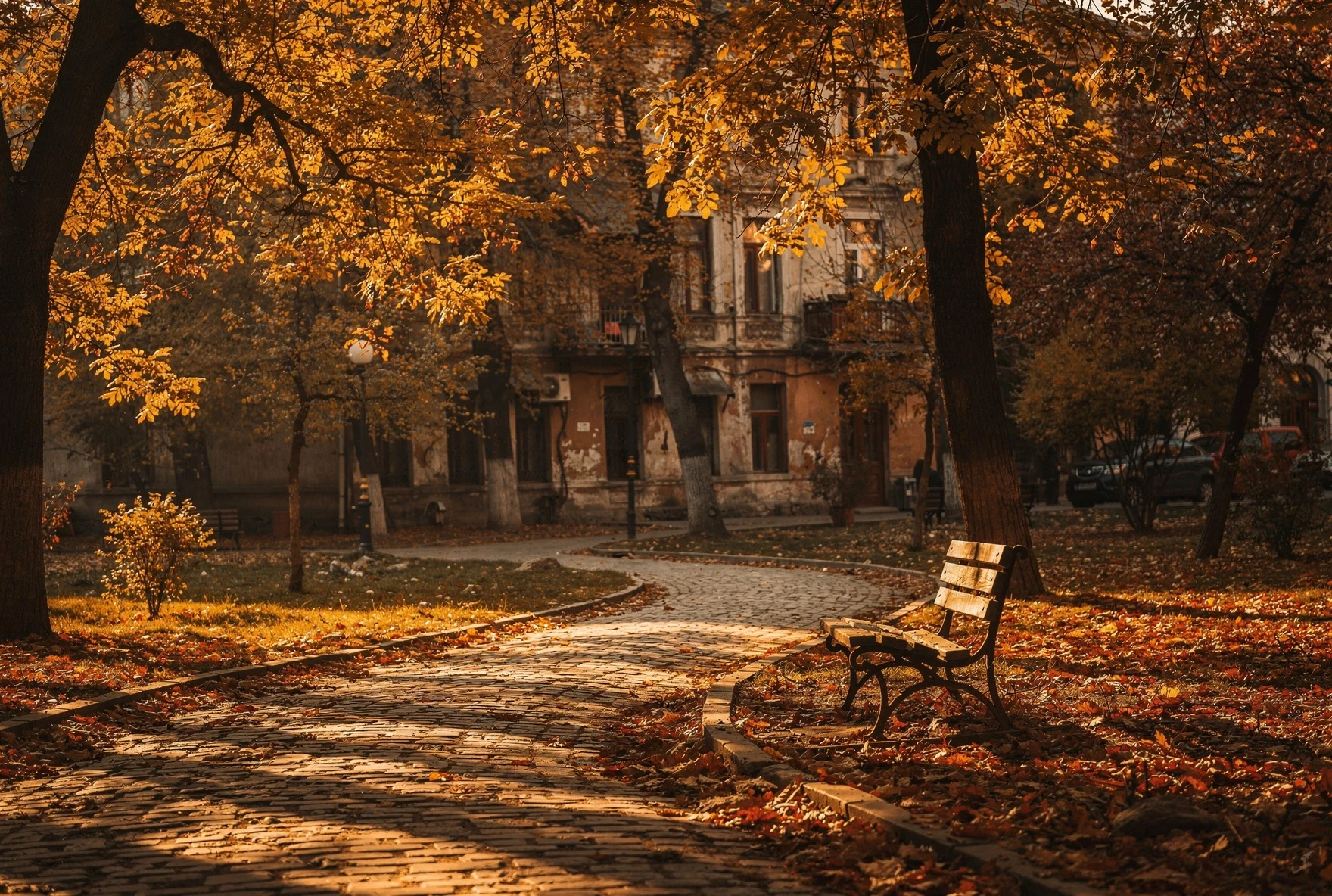 A cobblestone path through a Tbilisi park in autumn with golden trees and fallen leaves, warm afternoon light