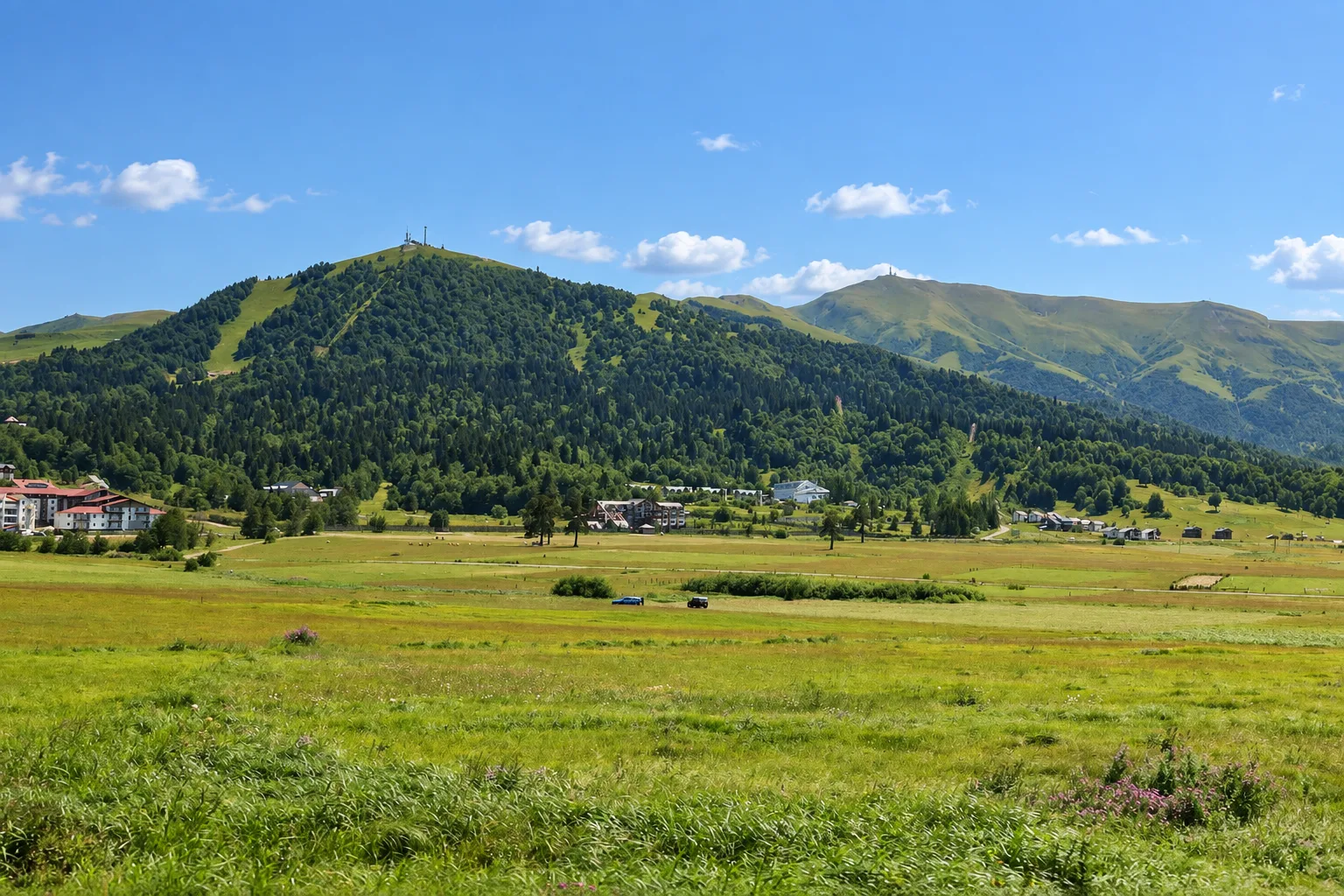 Green summer meadow below the forested slopes of Kokhta at Bakuriani with hotel buildings at the edge of the trees