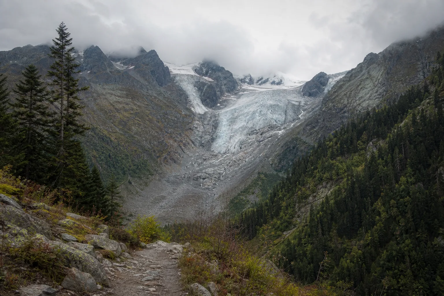 A glacier tongue ending in grey moraine at the head of a narrow pine-forested valley near Mestia, with a rough footpath in the foreground