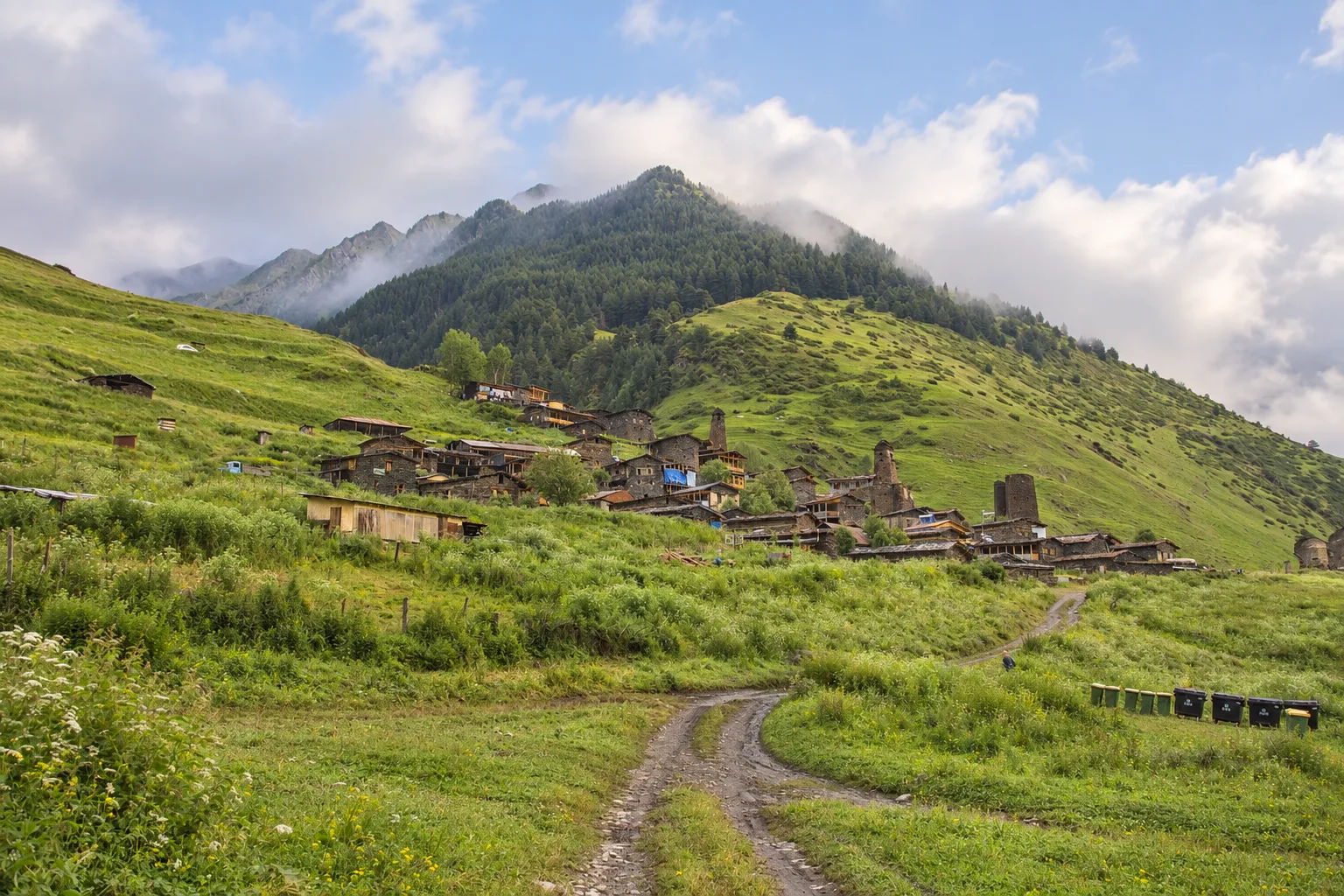Slate-stone towers and houses of Dartlo on a green slope below a forested peak, with beehives beside a dirt track in the meadow below