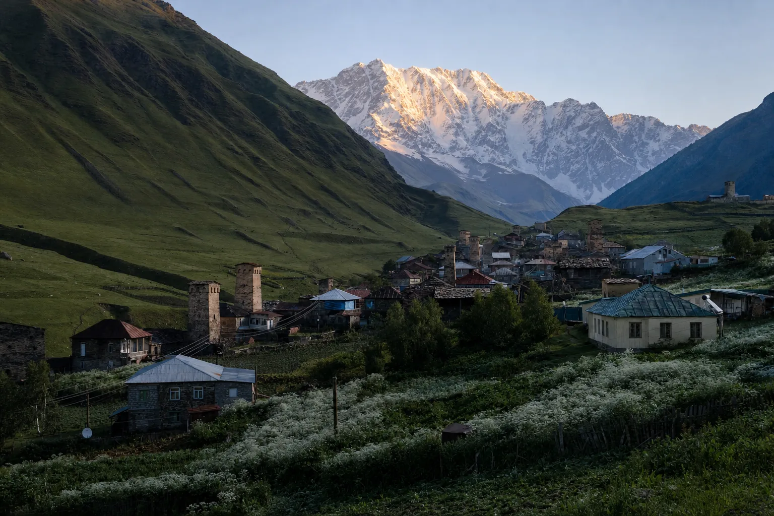 Stone towers of Ushguli's Chazhashi hamlet on a grassy hillside at first light, with the snow-covered wall of Shkhara behind