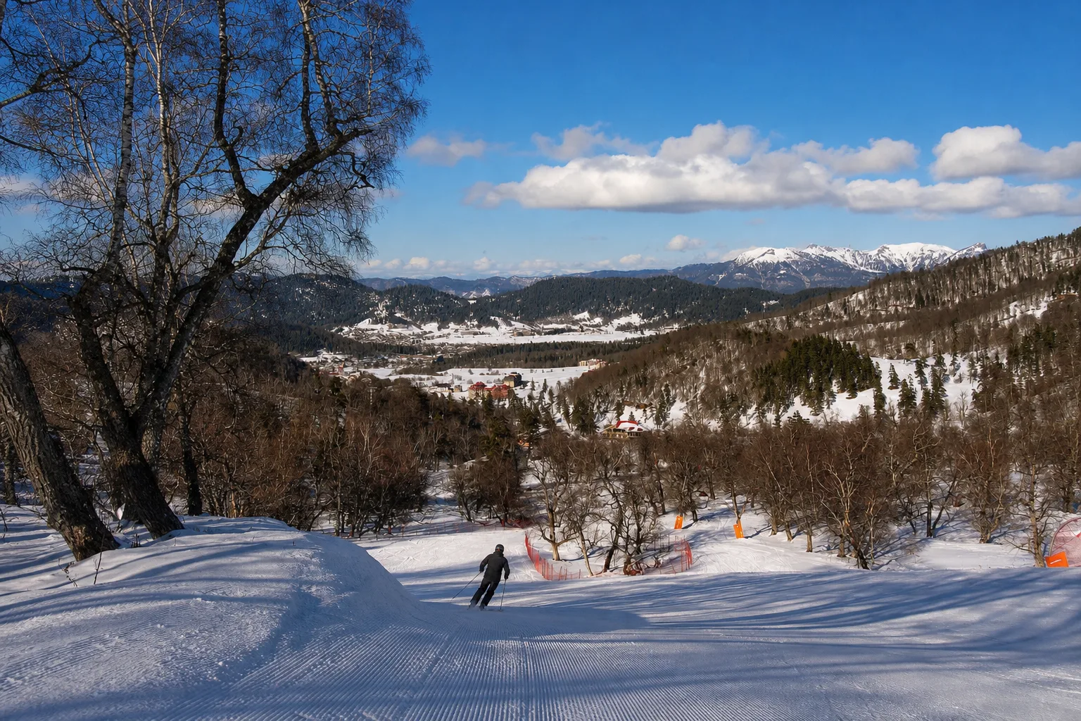 Groomed forest ski piste running down between birch trees towards the town of Bakuriani with snowy hills behind