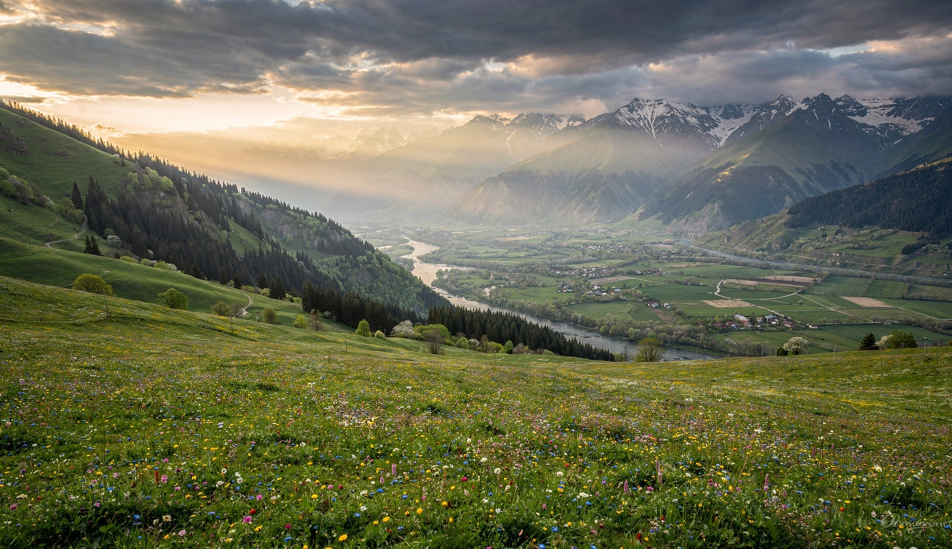 Lush green Caucasus mountain valley with wildflowers blooming in spring, snow-capped peaks in the distance