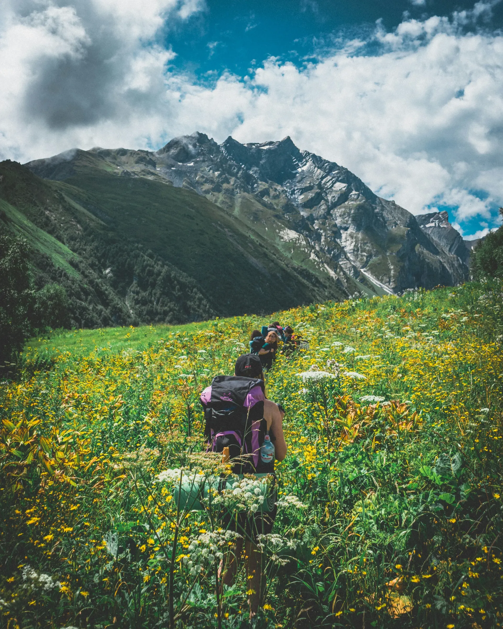 Hikers with backpacks trekking through wildflower-filled alpine meadows toward dramatic Caucasus mountain peaks in Georgia