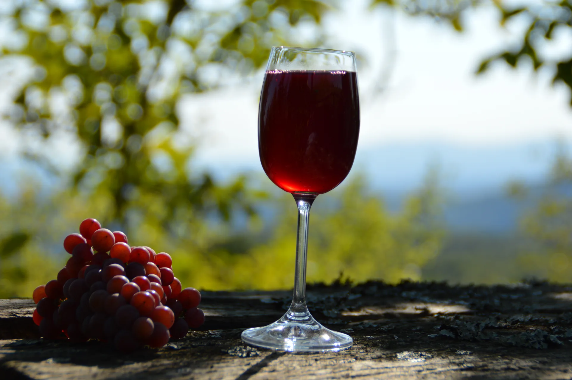 Glass of red wine on a wooden table with grapes and a vineyard in the background
