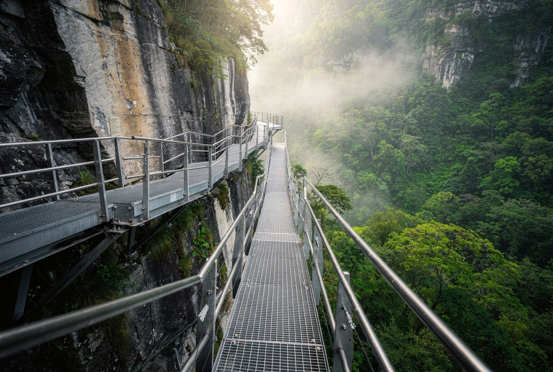 Suspended metal walkway built into a canyon cliff face with forested gorge visible far below